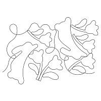 bunny tulip e2e 002